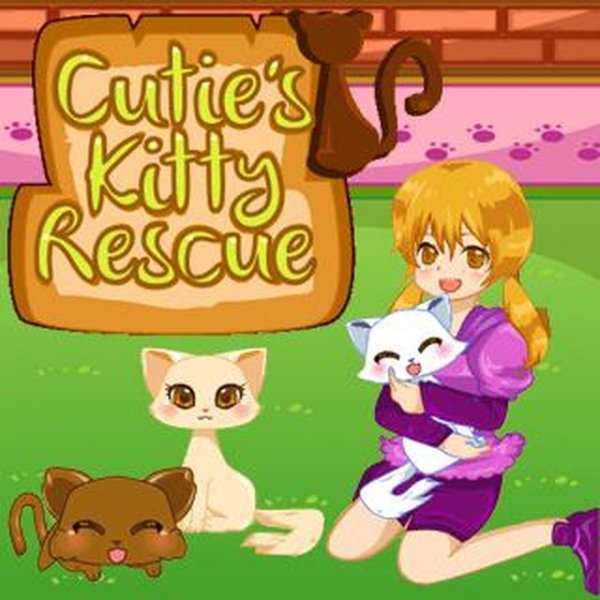 Paws & Care: Feline Shelter Manager