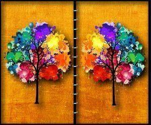 Woodland Observation Challenge