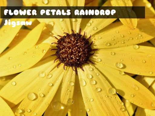 Flower Petals Raindrop Puzzle