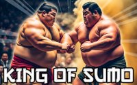 King Of Sumo Wrestling Online Game