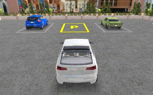 Steady Wheels Parking Sim