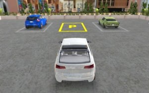 Steady Wheels Parking Sim