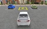 Steady Wheels Parking Sim