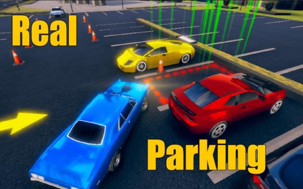 Accurate Auto Parking Simulator