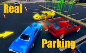 Accurate Auto Parking Simulator