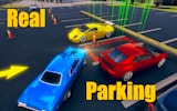 Accurate Auto Parking Simulator