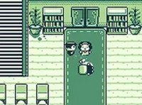 Detective's Estate Puzzle