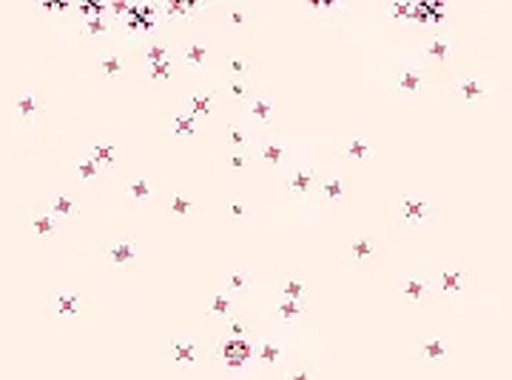 Picohimesama Arcade Shooter Game