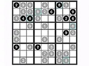 Black White Sudoku Puzzle Game
