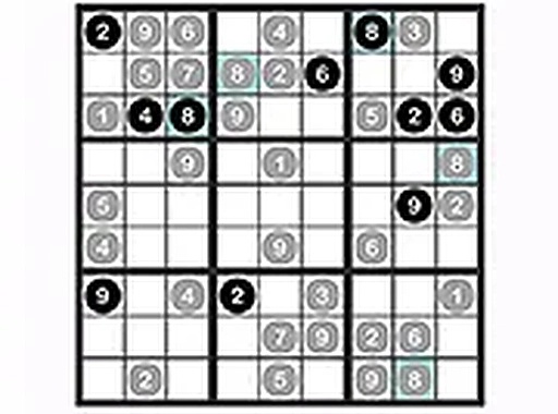 Black White Sudoku Puzzle Game